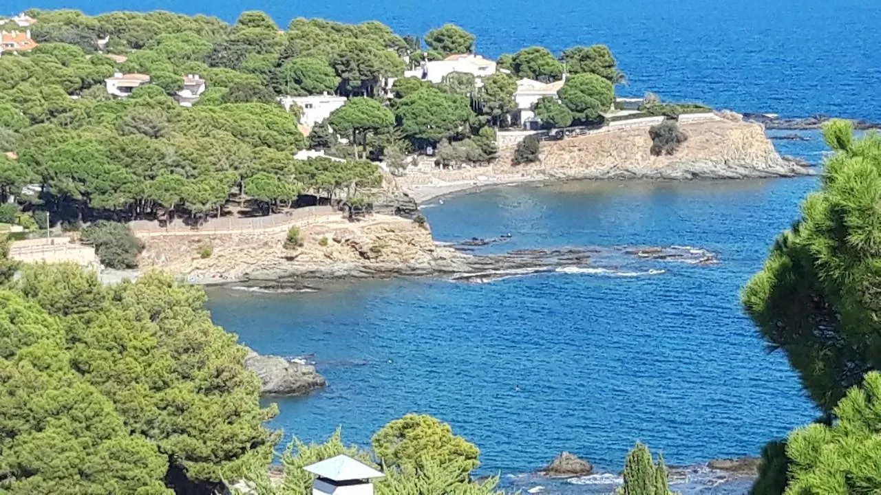 L'Armonia Entre La Farella I Cau Del Llop Apartment Llanca Spain
